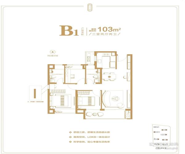 B1户型 3室2厅2卫