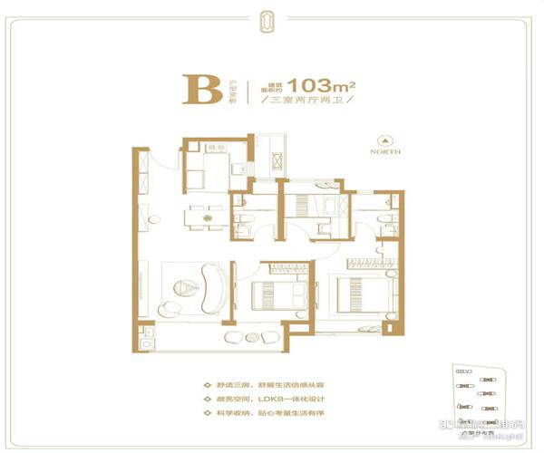 B户型 3室2厅2卫